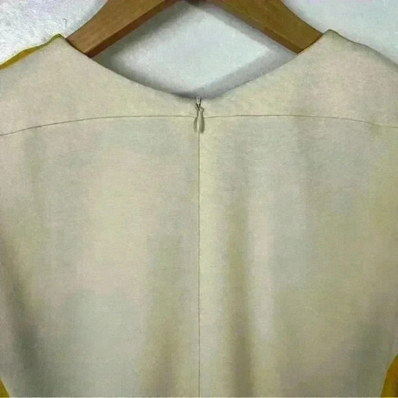 Piazza Sempione Color Block Shift Dress - Picture 7 of 10